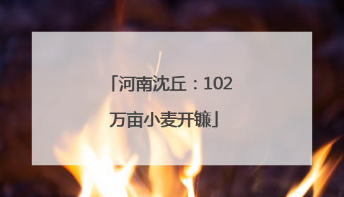 河南沈丘：102 万亩小麦开镰