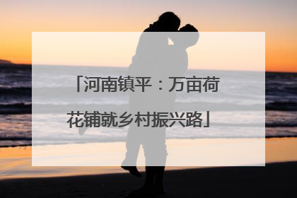 河南镇平：万亩荷花铺就乡村振兴路