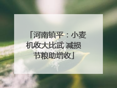 河南镇平：小麦机收大比武 减损节粮助增收