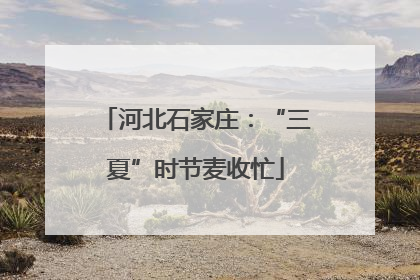 河北石家庄：“三夏”时节麦收忙
