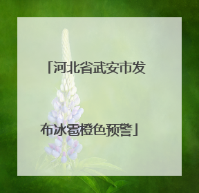 河北省武安市发布冰雹橙色预警