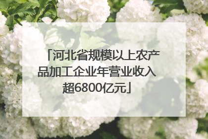 河北省规模以上农产品加工企业年营业收入超6800亿元