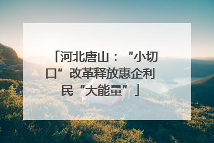 河北唐山：“小切口”改革释放惠企利民“大能量”