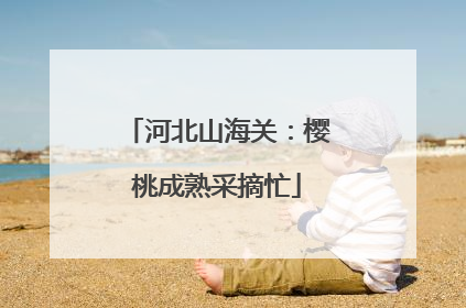 河北山海关：樱桃成熟采摘忙