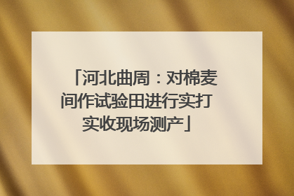 河北曲周：对棉麦间作试验田进行实打实收现场测产