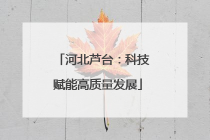 河北芦台：科技赋能高质量发展