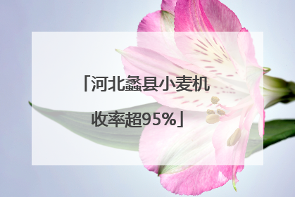 河北蠡县小麦机收率超95%