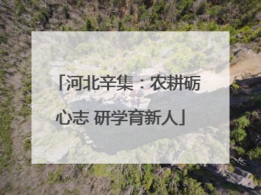河北辛集：农耕砺心志 研学育新人