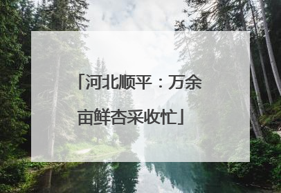 河北顺平：万余亩鲜杏采收忙