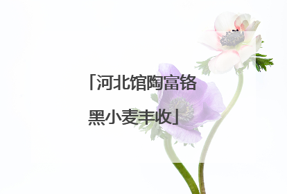 河北馆陶富铬黑小麦丰收