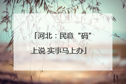 河北：民意“码”上说 实事马上办