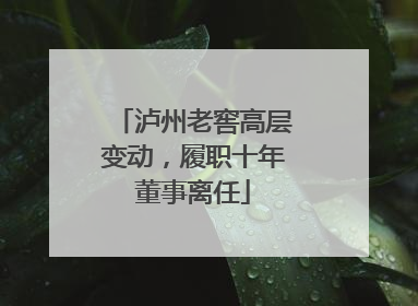 泸州老窖高层变动，履职十年董事离任
