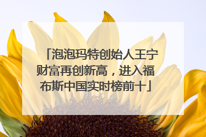 泡泡玛特创始人王宁财富再创新高，进入福布斯中国实时榜前十