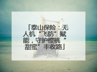 泰山保险：无人机“飞防”赋能，守护樱桃“甜蜜”丰收路