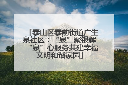 泰山区泰前街道广生泉社区：“泉”聚银辉“泉”心服务共建幸福文明和谐家园