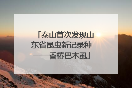 泰山首次发现山东省昆虫新记录种——香椿巴木虱