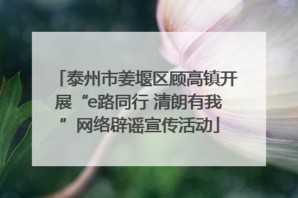 泰州市姜堰区顾高镇开展“e路同行 清朗有我”网络辟谣宣传活动