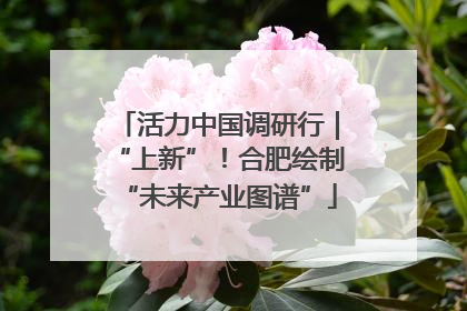 活力中国调研行｜“上新”！合肥绘制“未来产业图谱”