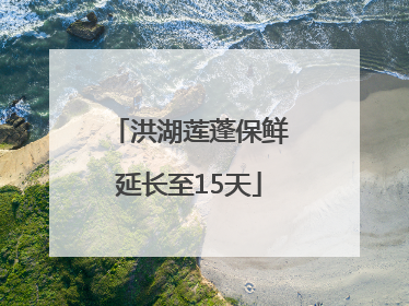 洪湖莲蓬保鲜延长至15天