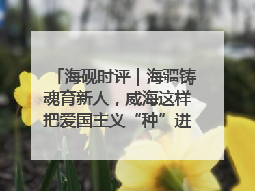 海砚时评｜海疆铸魂育新人，威海这样把爱国主义“种”进年轻人心里