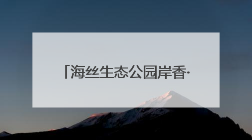 海丝生态公园岸香·古渡居正式迎客 激活生态文旅新动能