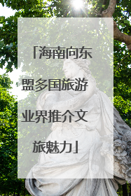 海南向东盟多国旅游业界推介文旅魅力