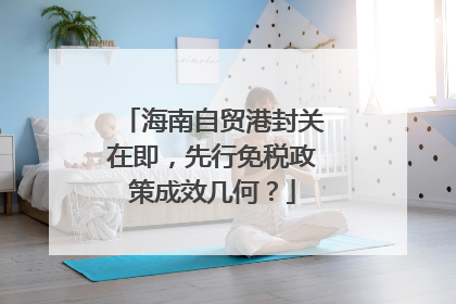 海南自贸港封关在即，先行免税政策成效几何？