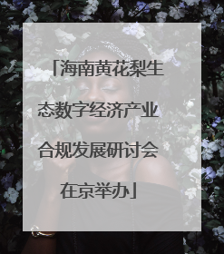 海南黄花梨生态数字经济产业合规发展研讨会在京举办