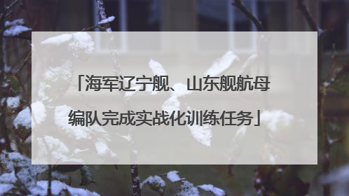 海军辽宁舰、山东舰航母编队完成实战化训练任务