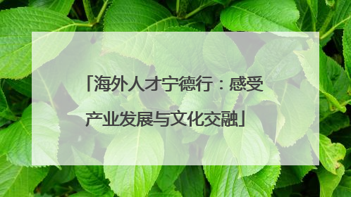 海外人才宁德行：感受产业发展与文化交融