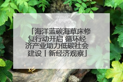 海洋蓝碳海草床修复行动开启 循环经济产业助力低碳社会建设丨新经济观察