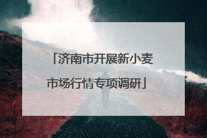 济南市开展新小麦市场行情专项调研