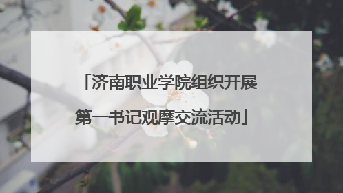 济南职业学院组织开展第一书记观摩交流活动