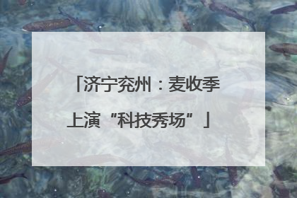 济宁兖州：麦收季上演“科技秀场”