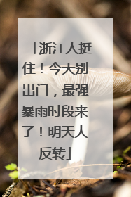浙江人挺住！今天别出门，最强暴雨时段来了！明天大反转