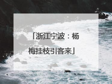 浙江宁波：杨梅挂枝引客来