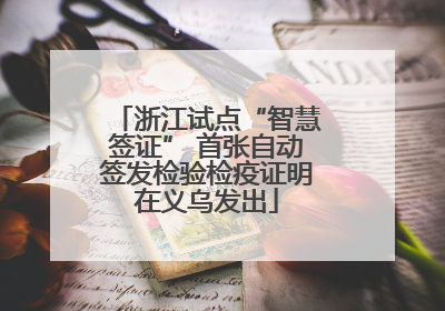 浙江试点“智慧签证” 首张自动签发检验检疫证明在义乌发出