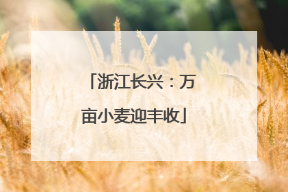 浙江长兴：万亩小麦迎丰收