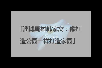 淄博周村韩家窝：像打造公园一样打造家园