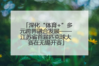 深化“体育+”多元跨界融合发展——江苏省首届匹克球大赛在无锡开赛