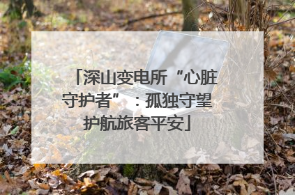 深山变电所“心脏守护者”：孤独守望护航旅客平安