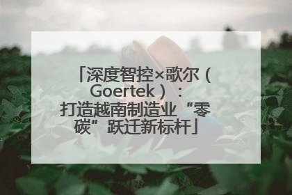 深度智控×歌尔（Goertek）：打造越南制造业“零碳”跃迁新标杆