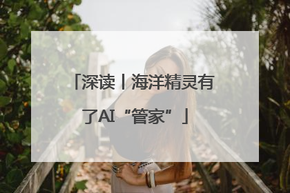 深读丨海洋精灵有了AI“管家”