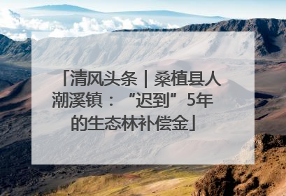清风头条｜桑植县人潮溪镇：“迟到”5年的生态林补偿金