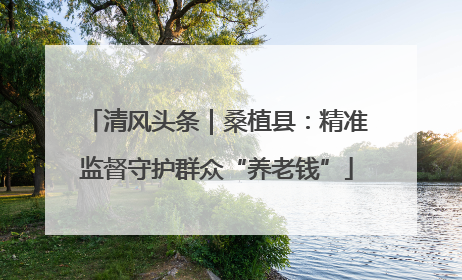 清风头条｜桑植县：精准监督守护群众“养老钱”