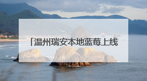 温州瑞安本地蓝莓上线咯！请听《90早新闻》20250524
