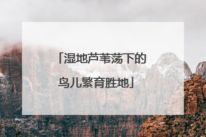 湿地芦苇荡下的鸟儿繁育胜地