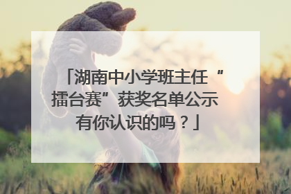 湖南中小学班主任“擂台赛”获奖名单公示 有你认识的吗？