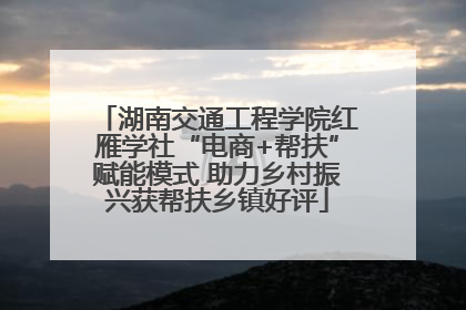 湖南交通工程学院红雁学社“电商+帮扶”赋能模式 助力乡村振兴获帮扶乡镇好评