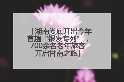 湖南娄底开出今年首趟“银发专列”，700余名老年旅客开启甘南之旅